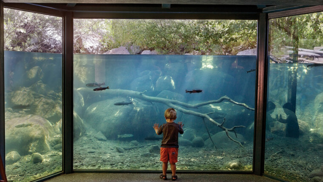 Taylor Creek Visitor Center and Stream Profile Chamber