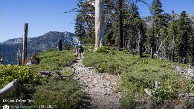 Mount Tallac Trail