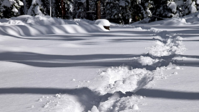 Snowshoeing