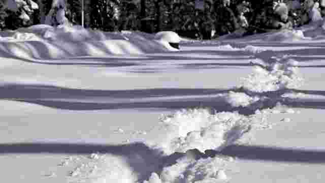 Snowshoeing