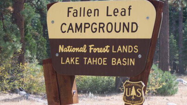 Fallen Leaf Lake Campground