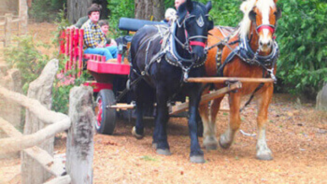 Camp Richardson Corral