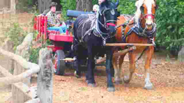 Camp Richardson Corral