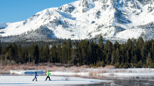 Cross Country Ski