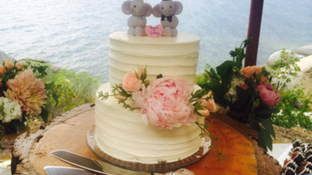 Tahoe Cakes by Grace