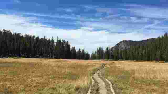 Big Meadow Trail