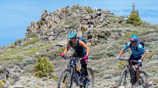 Tahoe Area Mountain Biking Association