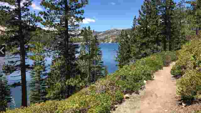 Lake Aloha Trail