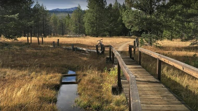 Washoe Meadows State Park