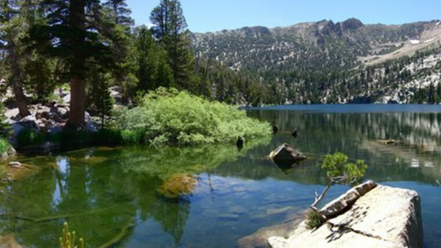 Star Lake Trail