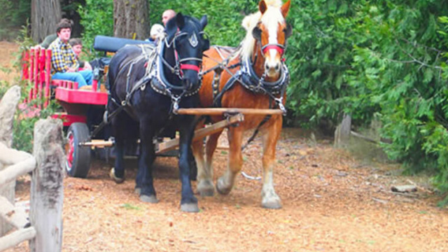Camp Richardson Corral