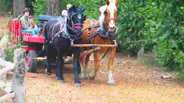 Camp Richardson Corral