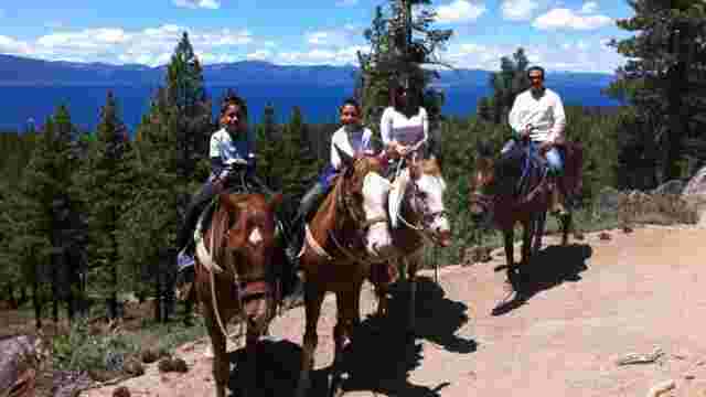 Zephyr Cove Stables